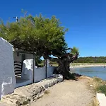 Lamorino * Es Grau