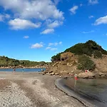 Lamorino * Es Grau