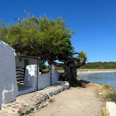 Lamorino * Es Grau